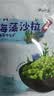 云山半调味裙带菜海藻沙拉海草丝200g*3袋装 日式海藻丝即食下饭菜凉拌 实拍图