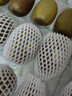 佳沛（zespri）新西兰 新果季 阳光金奇异果12粒特大果单果124-146g 猕猴桃 实拍图
