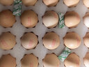 天珍牧场NSF无抗生素谷物鲜鸡蛋30枚3斤安全无激素 宝宝辅食 早餐食材 实拍图