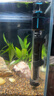 创宁鱼缸加热棒75W适合20-30L水量双控温自动恒温加温棒石英加热器 实拍图