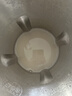 九阳（Joyoung）1.2L豆浆机3-4人用破壁机古法豆浆可预约免滤家用全自动榨汁机料理机DJ12P-D565【九阳漫生活】 实拍图