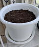 爱丽思花盆塑料圆形树脂多肉花盆种花种菜盆绿萝爱丽丝 白色口径30.1cm 实拍图