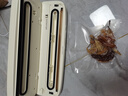 苏泊尔（SUPOR）真空封口机 家用全自动真空包装机 零食物品封口真空一体机 干湿两用真空机 SF007 实拍图