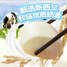 广州酒家牛奶馒头600g*2袋 48个 儿童早餐 包子馒头 速食 面点开学季 实拍图