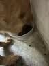 麦富迪狗粮 无谷牛肉双拼狗粮成犬小型犬比熊贵宾缓解泪痕 10kg/20斤 实拍图