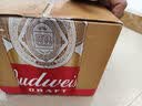 百威（Budweiser）经典纯生淡色拉格啤酒 500ml*18听整箱装 踏春送礼 实拍图