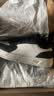 鸿星尔克板鞋男鞋秋季新款百搭薄底时尚休闲鞋小白鞋运动鞋子丨天和 实拍图