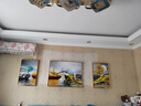 Sixpoetry 客厅装饰画现代简约沙发背景墙壁画轻奢三联晶瓷画大气高档挂画 福禄双收（铝合金外框） 晶瓷画左右40*60+中间80*60亮面 实拍图
