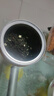 一杯香茶叶茉莉花茶飘雪横县250g2026新茶茉莉绿茶散装茗茶自己喝 实拍图
