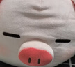 名创优品（MINISO）小猪B-BO弹力超柔趴姿公仔毛绒玩具玩偶抱枕靠枕娃娃生日礼物女 实拍图