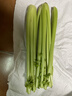 山东新鲜大西芹现割现发榨汁西芹首选水果西芹蔬菜生鲜减肥减脂 新鲜西芹带箱2斤 净重1.7斤 实拍图