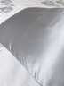 La Torretta 真丝枕套 22姆米100%桑蚕丝枕套 48x74cm 蚕丝枕头套 灰-单只装 实拍图