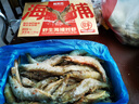 鲜京采野生海捕对虾 净重3斤/盒 30-45只/盒 实拍图