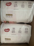 好奇（Huggies）铂金装小桃裤成长裤XXL74片(15kg以上)尿不湿【透爽散热】 实拍图