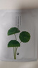 花印面膜贴片补水保湿清爽护肤品男女士礼物 积雪草舒缓面膜3片 实拍图