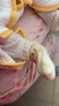 十月结晶婴儿袜子夏季网眼长筒防蚊过膝不勒腿 白狐/熊熊/粉兔3双 实拍图