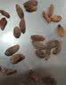 徽天赐红香妃葡萄干500g新货无核无籽提子干新疆特产免洗即食果脯食品 特级红提葡萄干【1000g】精选大果 实拍图