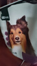 网易严选犬粮全价冻干三拼鸡肉狗粮幼犬成犬小型中大型犬10kg【宠物金选】 实拍图