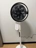 东芝（TOSHIBA）【花信风】电风扇空气循环扇家用落地扇直流变频电风扇卧室轻音客厅风扇F-DSC800XCN(W) 实拍图