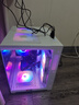 华硕（ASUS）全家桶英特尔酷睿14代i5/i7组装台式机电脑主机5060独显游戏电竞商用办公设计水冷整机全家桶全套 三：13代新款酷睿丨4060独显丨电竞直播 主机+32英寸高刷护眼显示器 实拍图