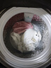 小天鹅（LittleSwan）波轮洗衣机小型全自动家用 8KG 直驱变频 TB80V26DT 以旧换新 国家补贴 京东自营 一级能效 实拍图
