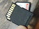 闪迪（SanDisk）256GB SD内存卡 4K V30 U3 C10 相机存储卡 读速180MB/s 写速130MB/s 高速连拍 微单/单反相机 实拍图