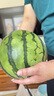 新安怡（AVENT）四合一杯盖刷清洗神器多功能奶瓶缝隙保温杯清洁刷子 实拍图