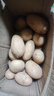 【今年新货】黄心土豆新鲜当季农家自种沙地粉糯黄心鲜土豆马铃薯 【黄皮土豆现挖新货】净重5斤 实拍图