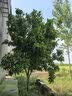 凯丰厨房秤电子秤家用高精度克秤小型称重食物称烘焙克重秤咖啡食品秤 实拍图