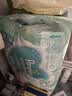 帮宝适（Pampers）清新帮尿不湿婴儿纸尿裤 M54片【纸尿裤】 实拍图