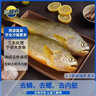 三都港 三去黄花鱼净重2斤/2-3条装 宁德大黄鱼 深海鱼 生鲜鱼类 海鲜 实拍图