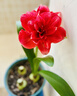 维达（Vinda）有芯卷纸 蓝色经典4层200克*10卷 厚韧大分量 卫生纸厕纸 卷筒纸 实拍图
