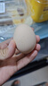 京鲜生 无抗保洁鲜鸡蛋30枚/盒 健康轻食 礼盒送礼 1.5kg/盒 源头直发 实拍图