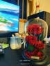 JoyFlower永生花礼盒玫瑰花七夕情人节生日礼物结婚纪念日高级感送女生朋友 实拍图