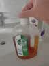 滴露（Dettol）消毒液洗衣衣物消毒水750mL 除螨杀菌混洗无忧 家居地板消毒 非84 实拍图