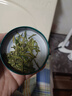 卢正浩绿茶蛙来跳龙井茶叶二级50g2026新茶上市雨前龙井春茶叶自己喝 实拍图