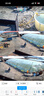 康佳4g太阳能摄像头无电无网室外无需连wifi免插电终身免流量高清监控器360度无死角夜视全景手机远程 实拍图