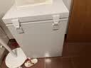 荣事达（Royalstar）小冰柜家用小型冷冻保鲜迷你冷藏商用卧式冷柜单用储母乳柜节能省电 【节能省电 全国联保】单温 106L 实拍图