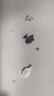 温莎牛顿油画颜料画家专用油画颜料55色初学者大容量油彩颜料管支单支-1 锌钛白 170ml 实拍图