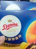 皇冠（danisa）黄油可可抱抱曲奇饼干112g休闲零食进口早餐团购含真可可新旧交替 实拍图