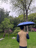 京东京造 总裁 全自动雨伞三折加大折叠商务复古自动木柄伞 蓝色23寸105cm 实拍图