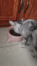 狼孩儿猫粮10斤装成猫幼猫全价主粮英短增肥发腮全阶段通用型天然粮5kg 实拍图