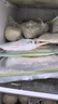 悦味纪 卷饼组合1.05kg*2袋90张（春饼+筋饼组合）早餐半成品速食 实拍图