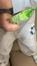 史努比男童裤子防蚊裤夏季中大童薄款纯棉儿童休闲裤潮牌卡通帅气童装 【防蚊裤两条】牛仔蓝 动态努比_K5+灰 蓝色爪印努比X_K5 120 实拍图