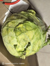高原夏菜新鲜包菜卷心菜绿甘南菜甘蓝圆白菜时令蔬菜健康营养早餐 3斤净重农家好菜 实拍图