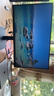HKC 27英寸4K显示器超清75Hz双模144Hz IPS屏10bit HiDPI技术HDR400 Type-C90W办公mac笔电外接T2755U 实拍图