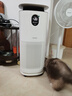 东芝（TOSHIBA）空气净化器宠物净化器大白梨PET去毛除毛大风量除花粉过敏源除尘净化器除螨源消毒杀菌家用除烟味 实拍图