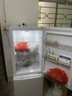 海尔冰箱出品统帅180L两门小冰箱家用二级能效不占地低噪节能省电以旧换新补贴LC2-186L9 实拍图
