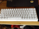 迈从（MCHOSE）Ace 68 V2磁轴键盘Gus同款RT电竞游戏低延迟60pro机械有线连接68键配列FPS双驱动无畏契约 Ace 68 超竞版 白色等高线 闪电磁轴 实拍图