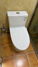 九牧（JOMOO）11176-2-1/31K-1 大力神升级家用马桶虹吸抗菌坐便器305坑距 实拍图